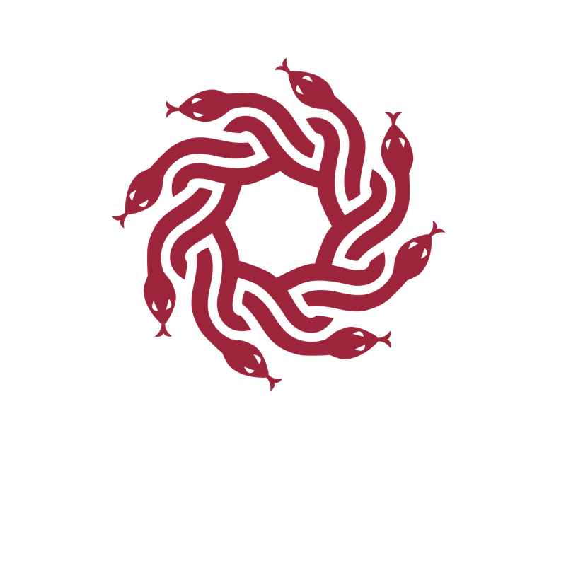 Medusa Logo