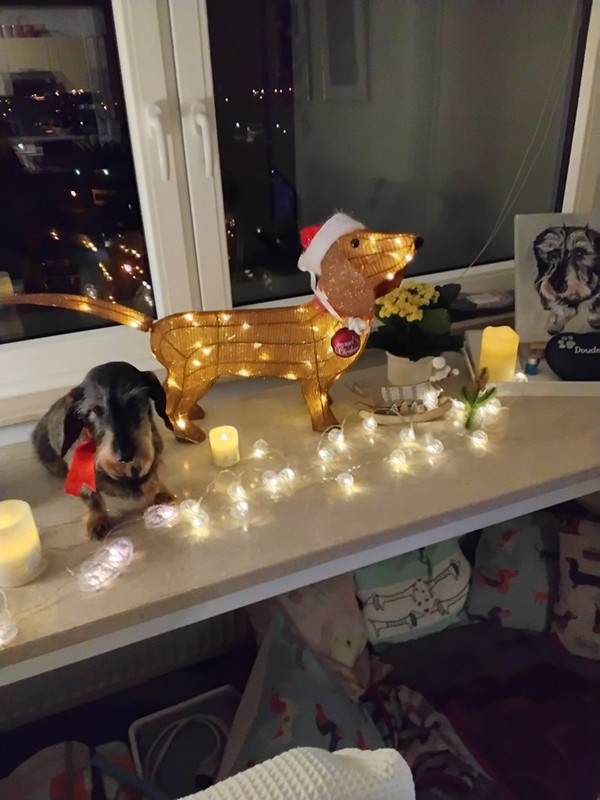 [Image: 20241224-192642.jpg]