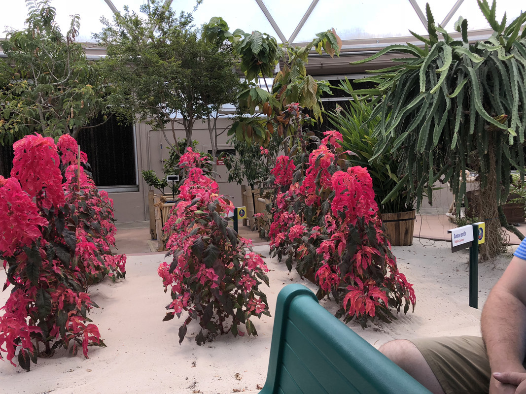 5F988352-30E0-468B-9EE7-21C96ED9A42F