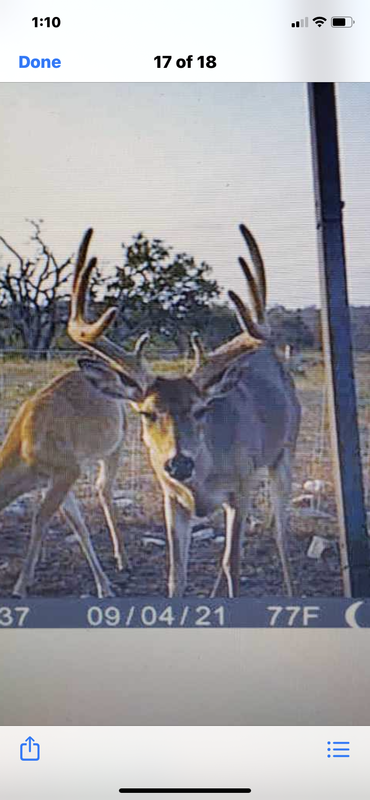 0836E6BD-E97B-474A-BBD9-102577CB96E9