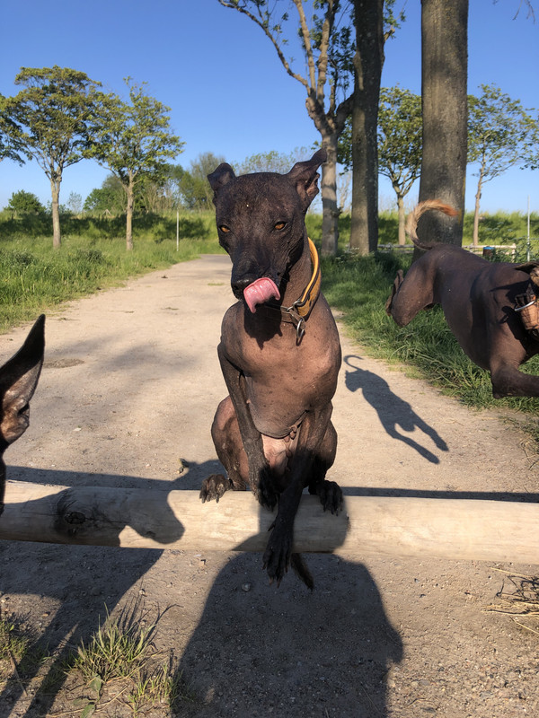 CD121392-81FB-4E1C-9D1A-958EC9E29A51