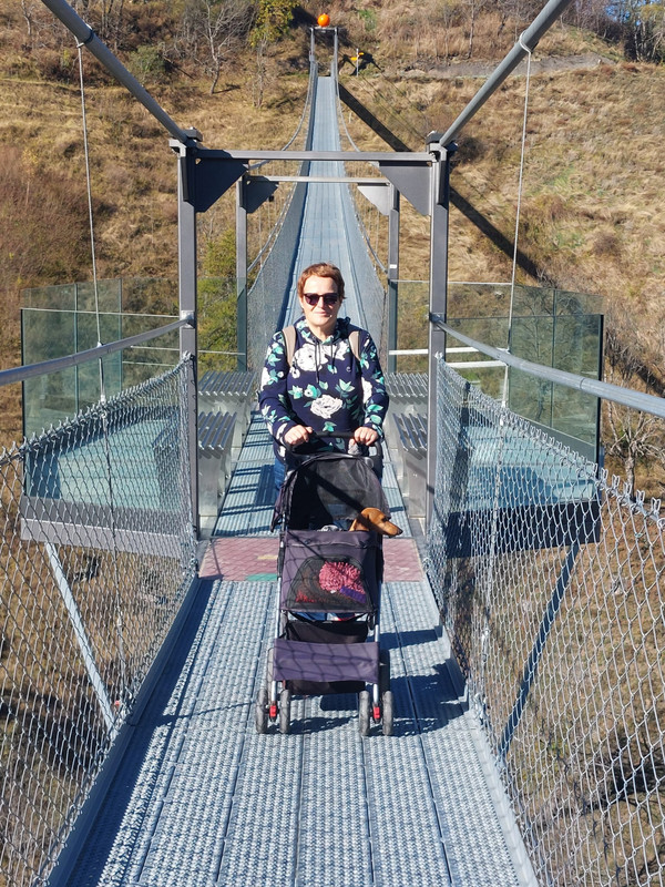 [Image: Whats-App-Image-2024-10-28-11-36-03-472b4cbf.jpg]