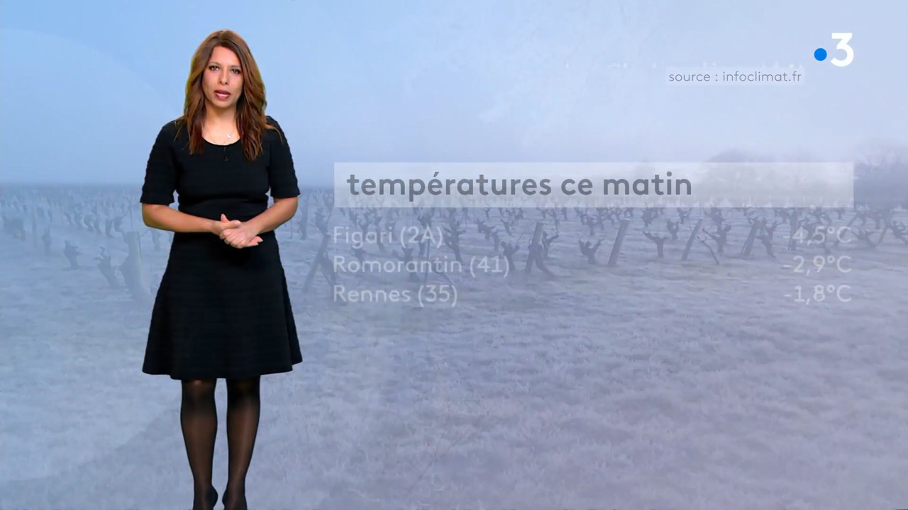 2022-02-11_11_30_Fr3_Meteo.mp4_snapshot_05.27.263