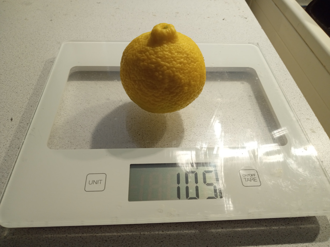 IMG 20251215 101258240 MFNR