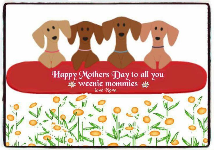 [Image: a18a78e0ab0a2becde37c0ce221294b5.jpg]