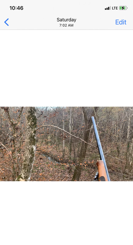 F3DCC00B-1268-4225-962E-E5C6EEE312C1