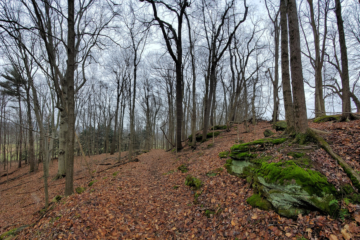 20210105_120043-01