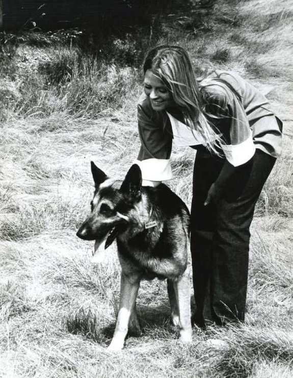 lindsay_wagner_b43