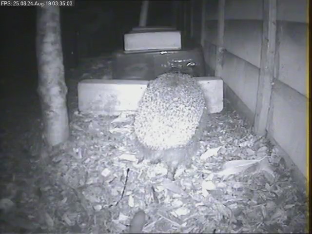 2_2019-08-24_03-34-58_Moment(2)