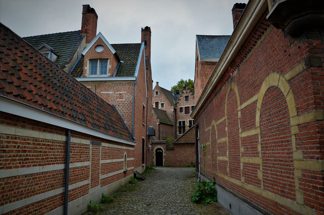 [Obrazek: begina-w-antwerpii-1-orig.jpg]