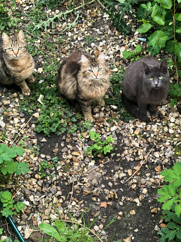 92704930_617314145520284_967342435967434752_n