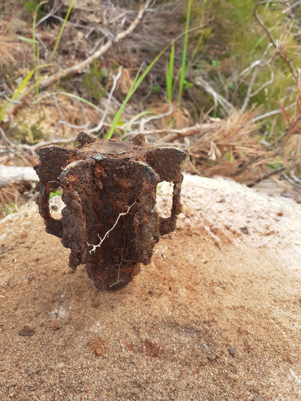 20220709_114403 – kopio