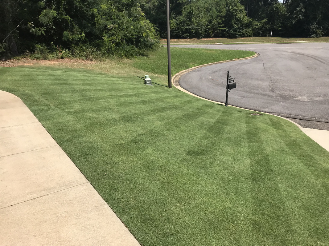 20D88CC0-9BB8-4B7C-B3AB-C1C22453C727