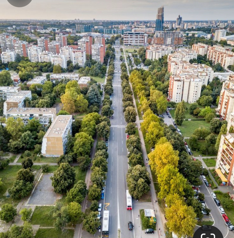 Screenshot_20231119_094322_Pinterest