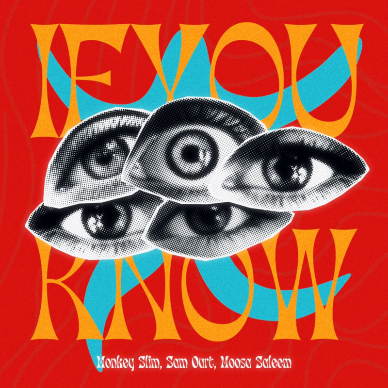 Monkey Slim, Sam Ourt, Moosa Saleem - If You Know (Extended Mix)