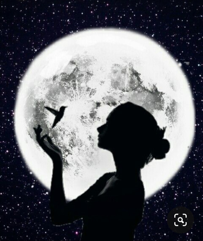 Screenshot_20230922_005122_Pinterest