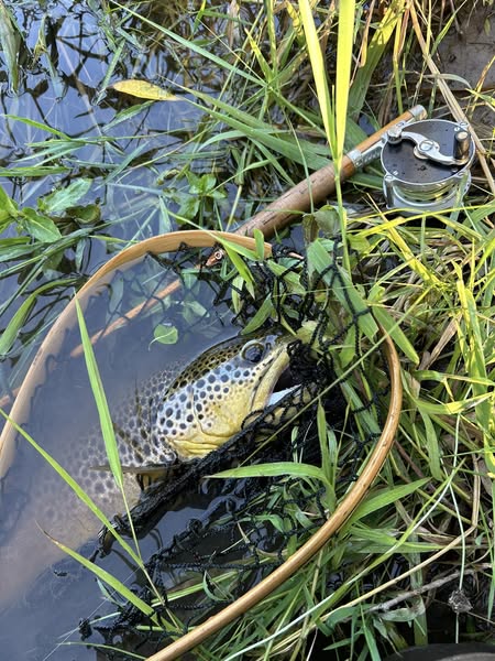 515404135_10233230104487751_8910275070196232287_n(1)