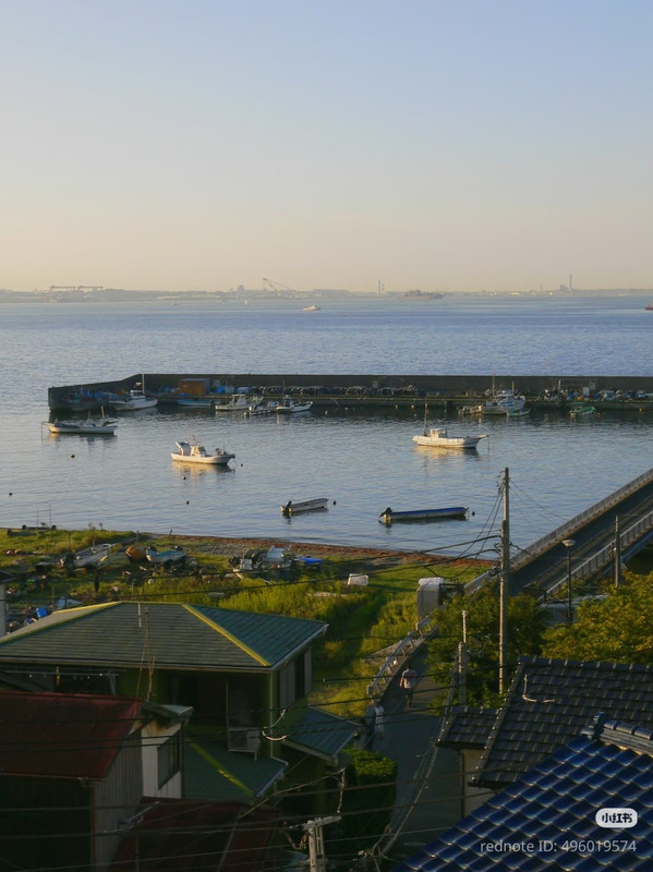 photo 14 2026 01 10 15 50 34