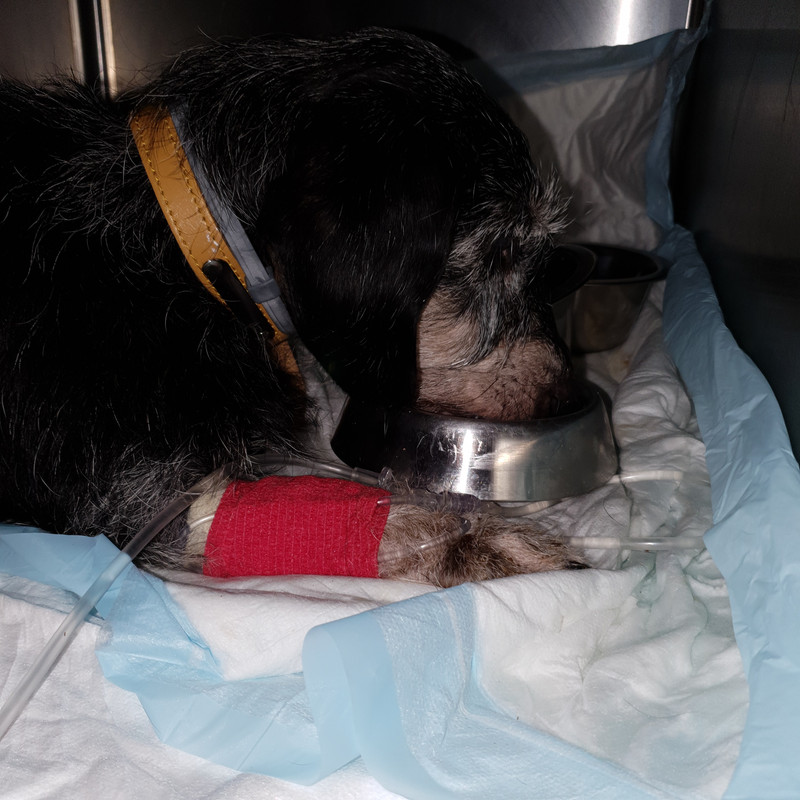 [Image: 20210121-155811.jpg]