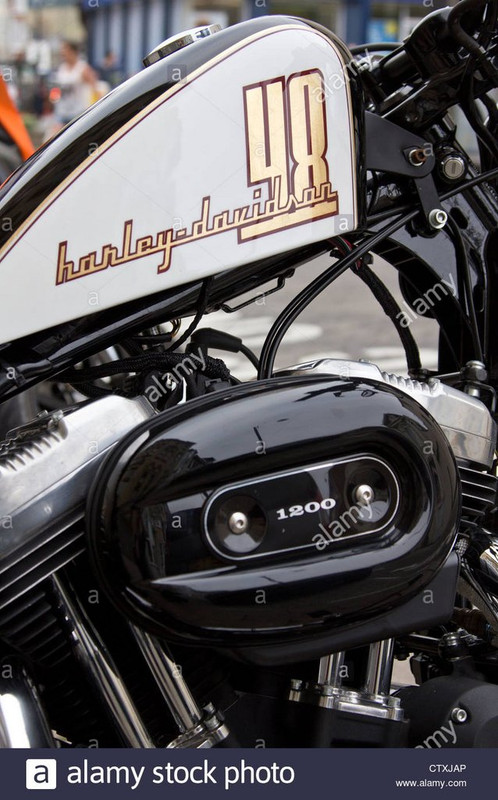 harley-davidson-48-1200cc-mororcycle-il-serbatoio-della-benzina-e-i-cilindri-del-motore-ctxjap