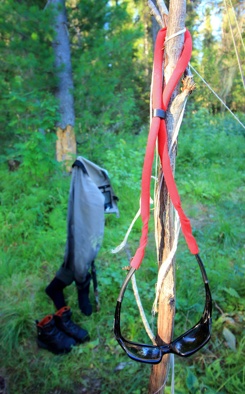 IMG_6058 (3192 x 5143)