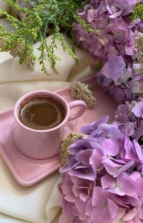 368560282_829714265259029_8289831668802030463_n