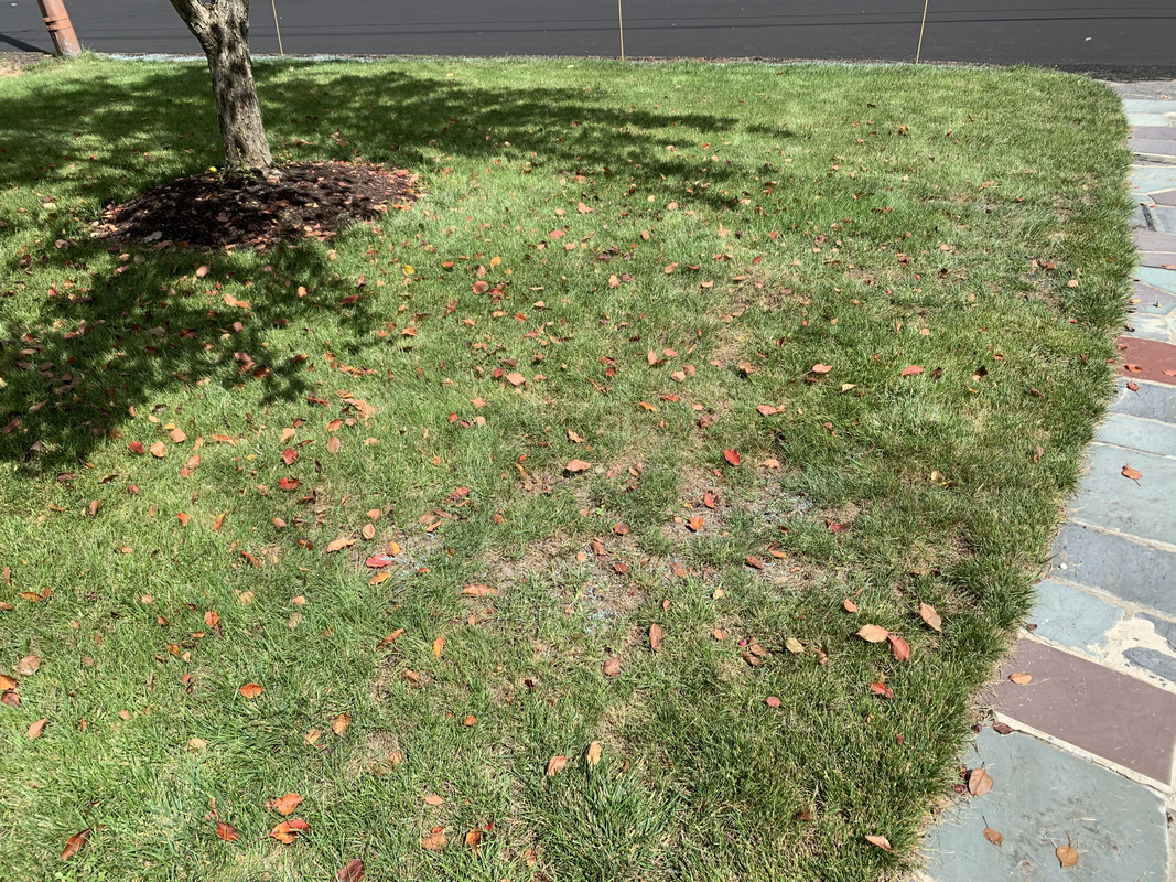 96842AA9-A4C4-4951-A8DF-029621020F9C