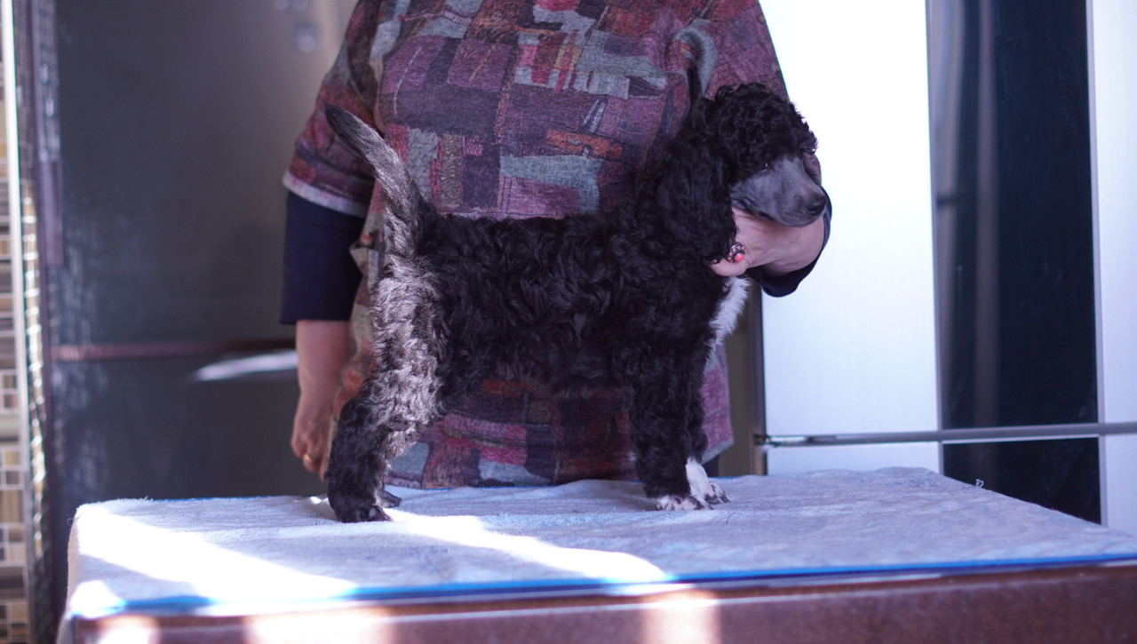 A4D112FC-E985-4964-A231-7D520049468D