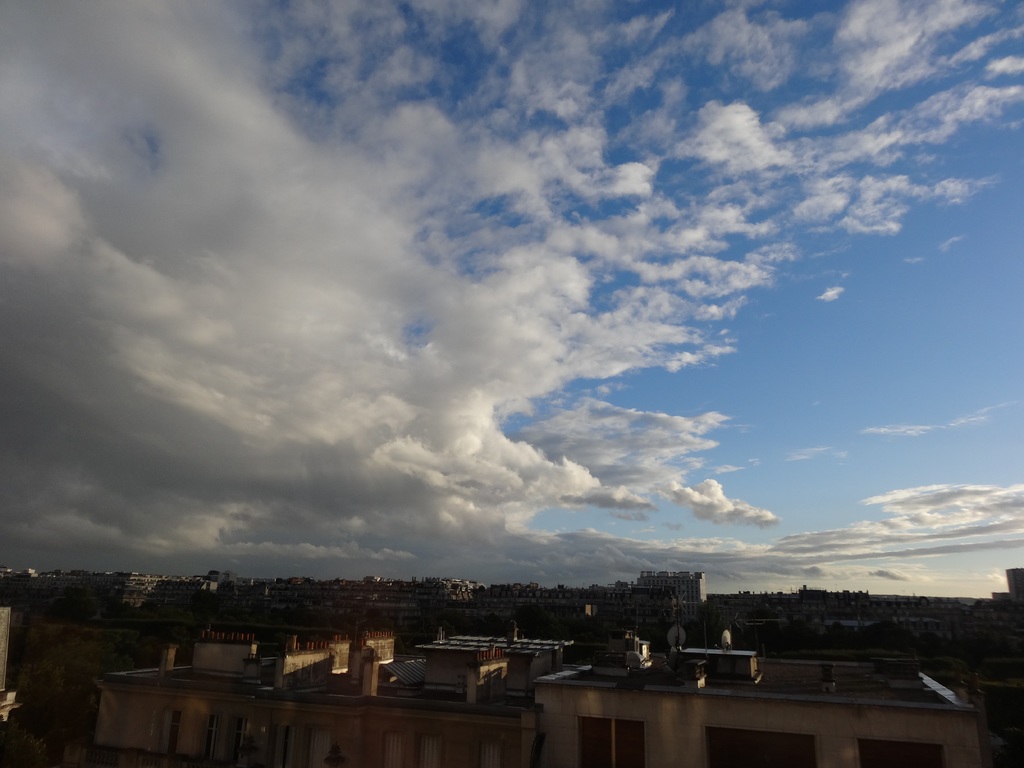 DSC02984