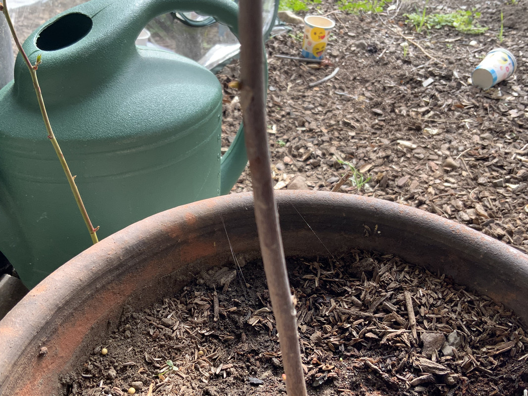 B9E80E25-4D58-43F7-ACC6-B35C0F5013E2