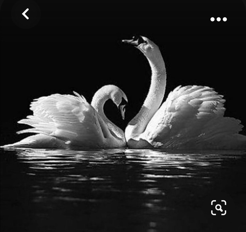 Screenshot_20230928_205110_Pinterest