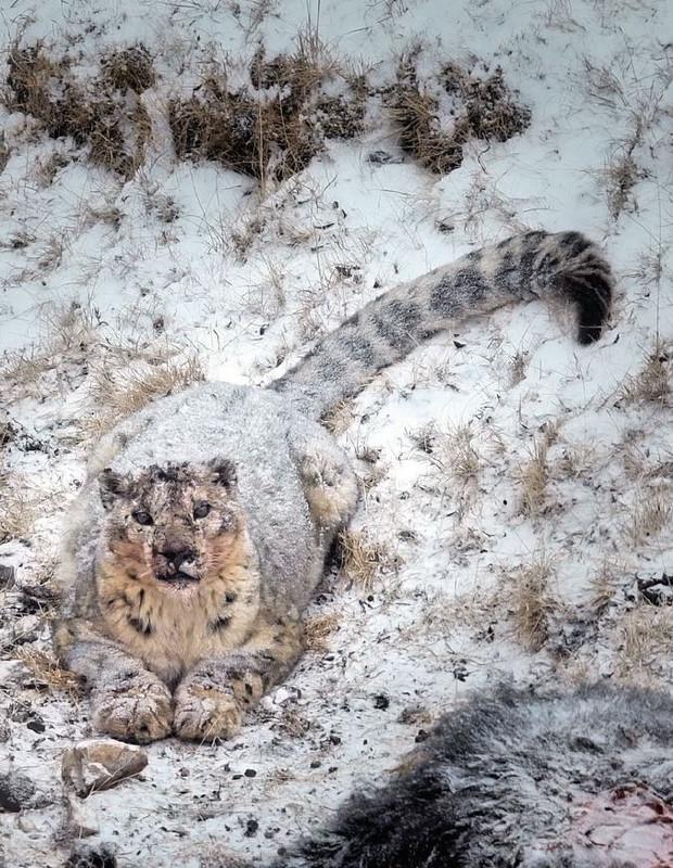 Argos Dic 2022-Gen 2023 (2)