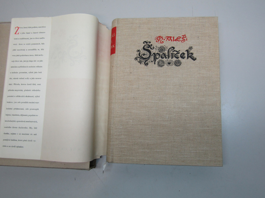IMG 0247 — Postimages