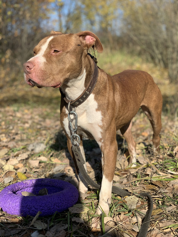 33529AFC-99BF-4D79-BA90-08CDFE21515E