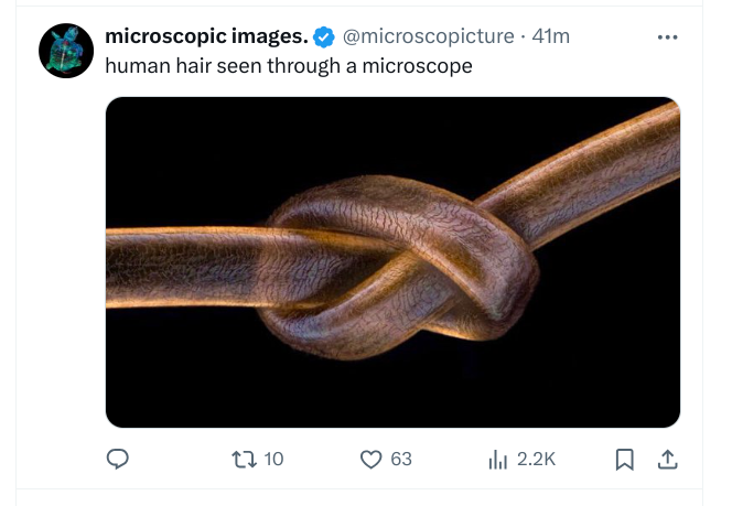 Screenshot 2024-11-05 12.16.46 AM