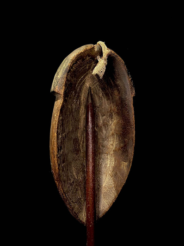 large image 10