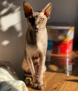 C46E7ED4-C00C-45DF-8551-D24C281534FA