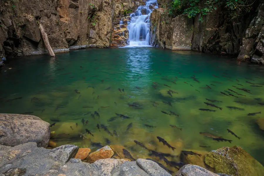 namtok phlio national park2