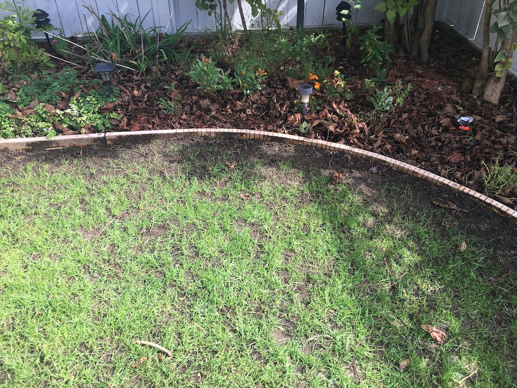 2017_Backyard_Reno_Day_50_Problem_2_2_small