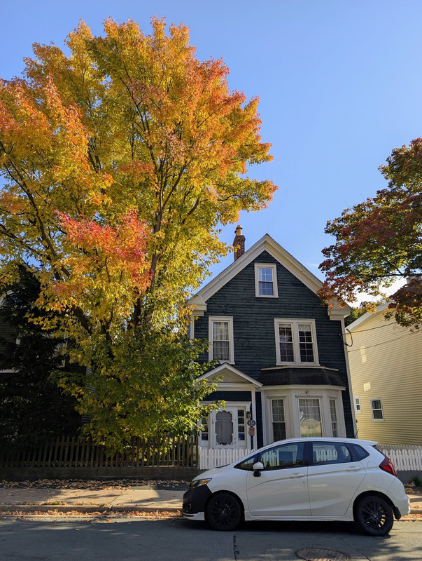 PXL_20251004_131012762~2