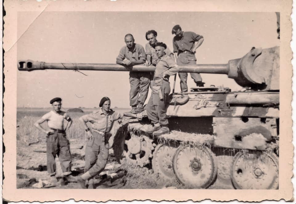 panther tank knocked out in field(2)