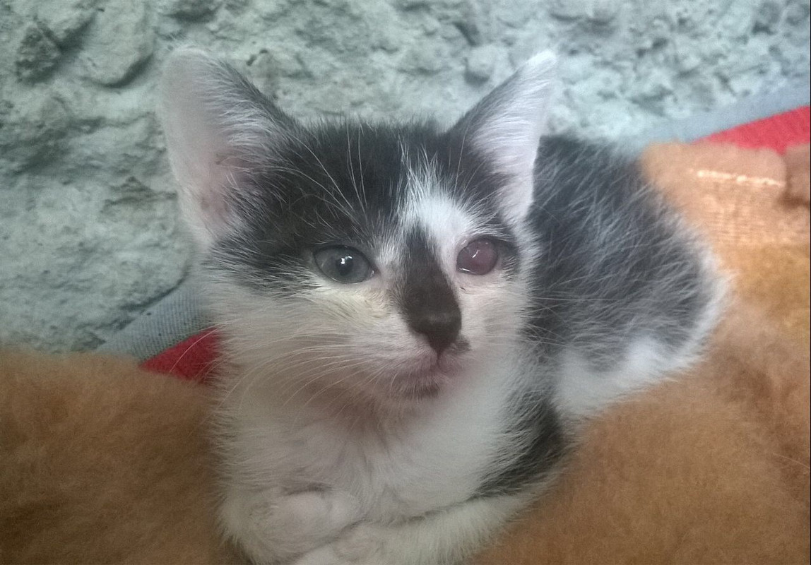 FD11903C-14EF-4764-A0DA-98A0D8CA8982