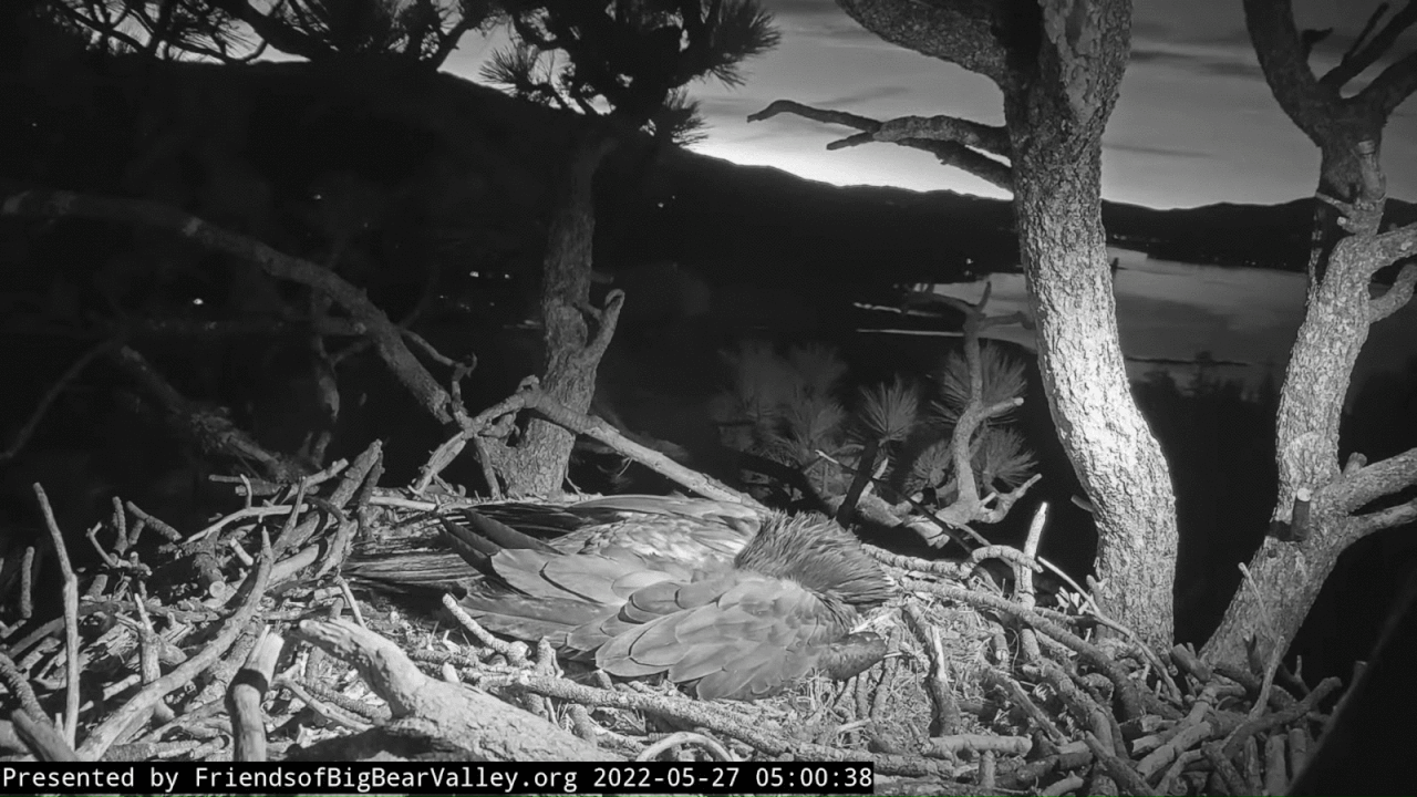 Webp.net-gifmaker (1)