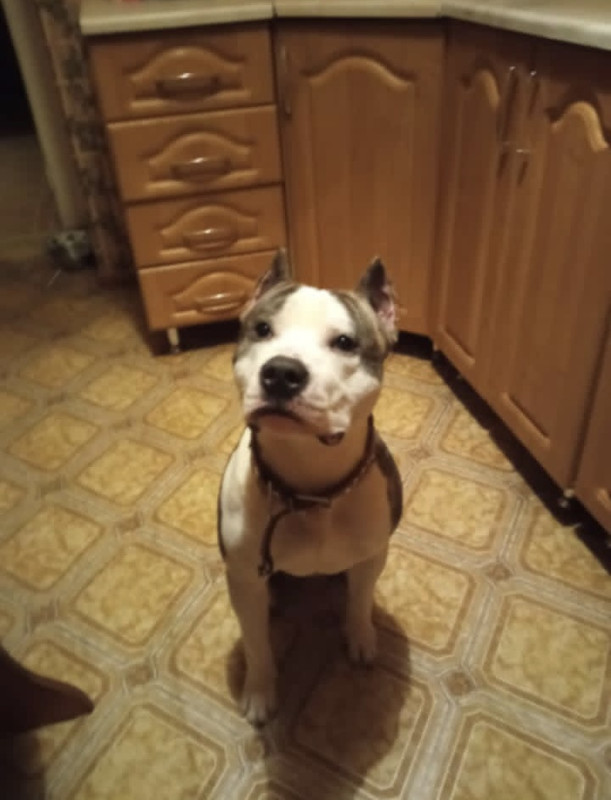 50D5764E-83A9-4AA5-9B87-C265CCAD9730