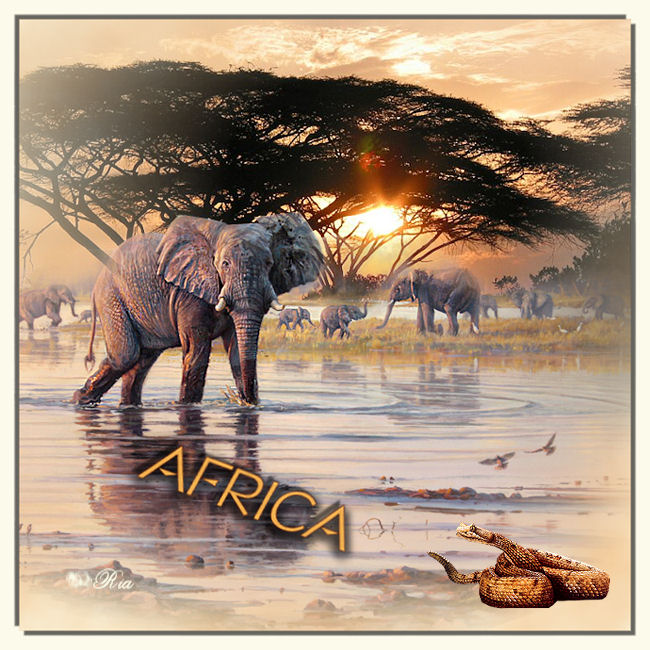 africa-1.jpg