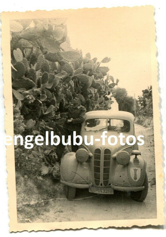 FOTO - Kdo. Flughafenbereich AFRIKA - Fahrzeug - Kübelwagen - PKW - WAPPEN !!!