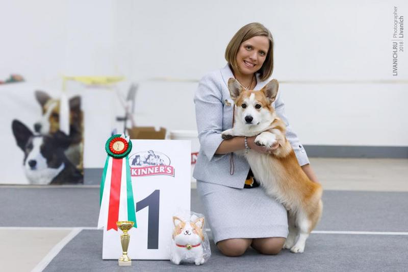 УП 2018 -LAIF SPRING MARTY MCFLY -MERTHYR WANDA-DO THE HAKA   LA