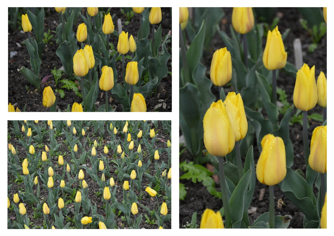 Новый коллаж.jpg 13