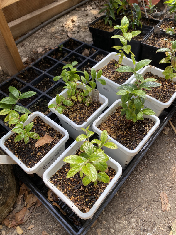 C6FA2A7C-3FDC-4540-A1D9-66DFDBE99613