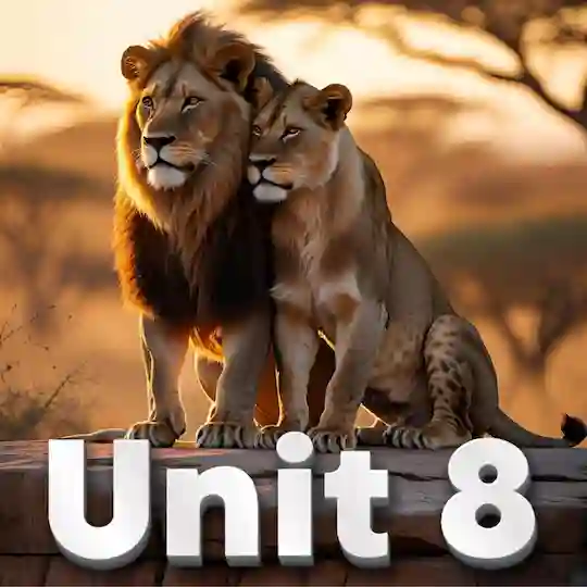Unit 8